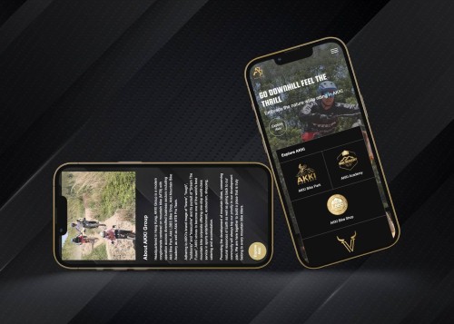 Web Design: AKKI Group