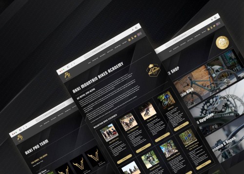 Web Design: AKKI Group