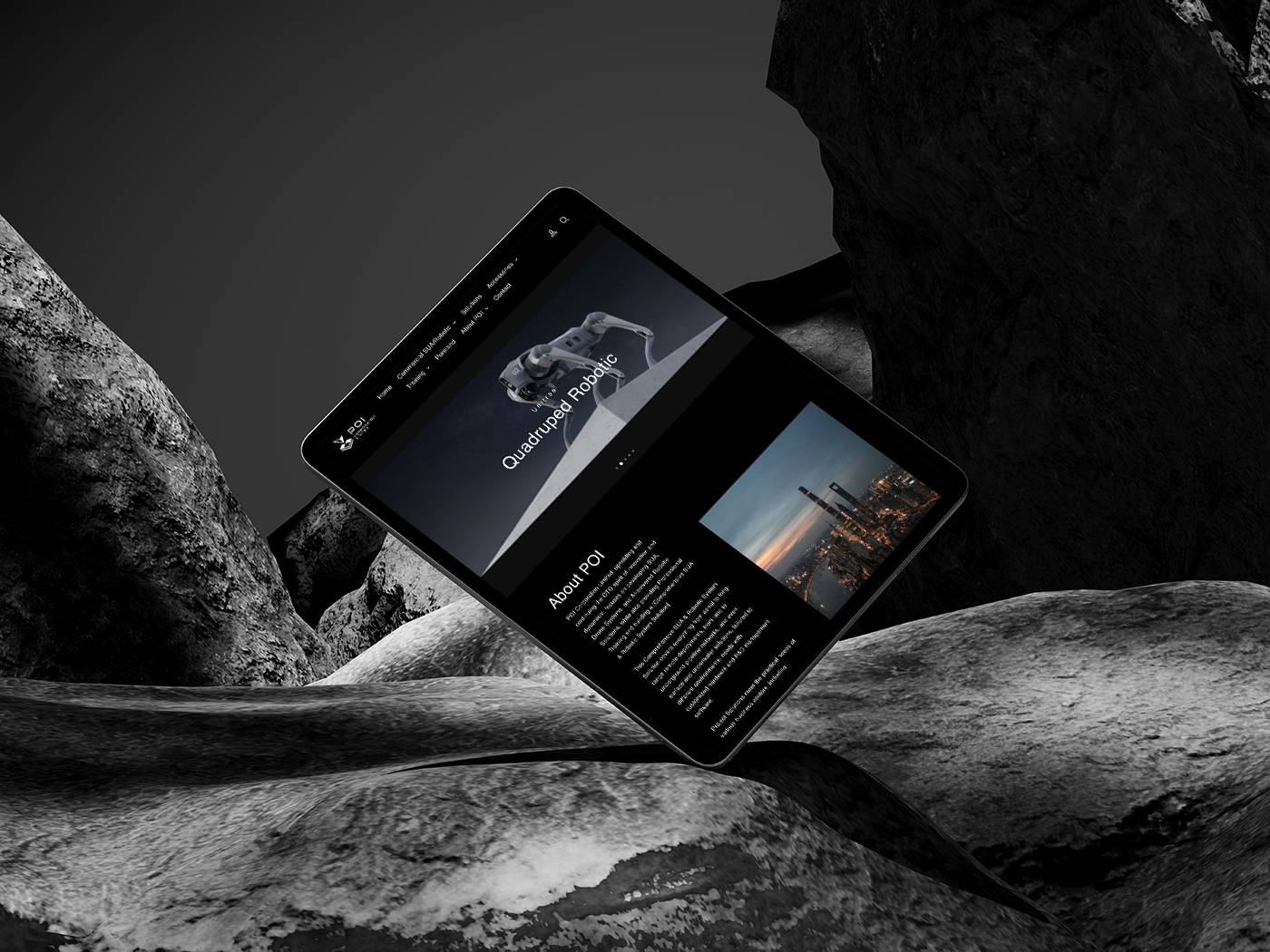 poi corporation limited datailpage 03