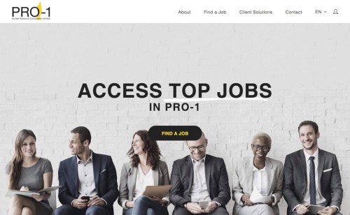 Web Design: Pro-1 Human Resource Consultants