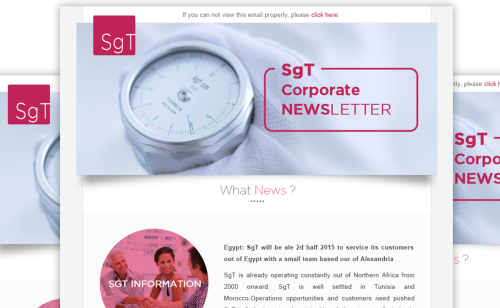 Marketing: SgT Group