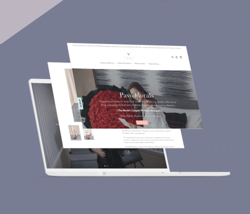 Web Design: Pavo Florals