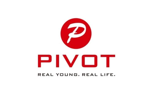 Branding: Mobile Link Technology Ltd. (Pivot)