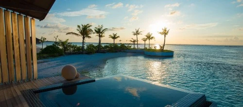 Marketing: Tarsier Botanika