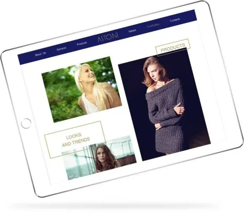 Web Design: Astoni Far East Limited