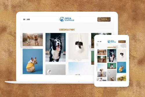 Web Design: SPCA