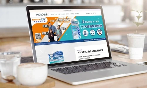 Web Design: MicroSigX