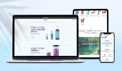 Web Design: MSB International Limited