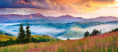 Apps Development: Professional Accounting and Taxation Limited