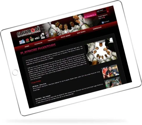 Web Design: Playmore