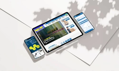 Web Design: Profit Storage