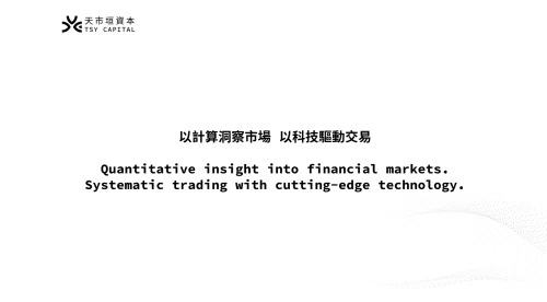 Web Design: TSY Capital